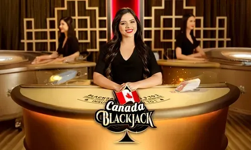 Live Casino Partner